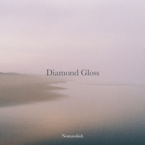Diamond Gloss - Nomawkish (2014) FLAC