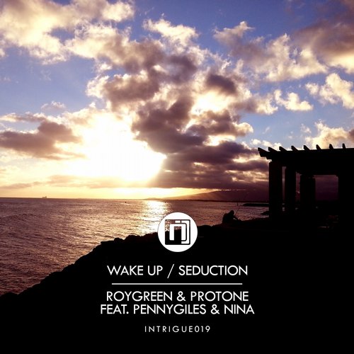 RoyGreen & Protone - Wake Up / Seduction (2014)