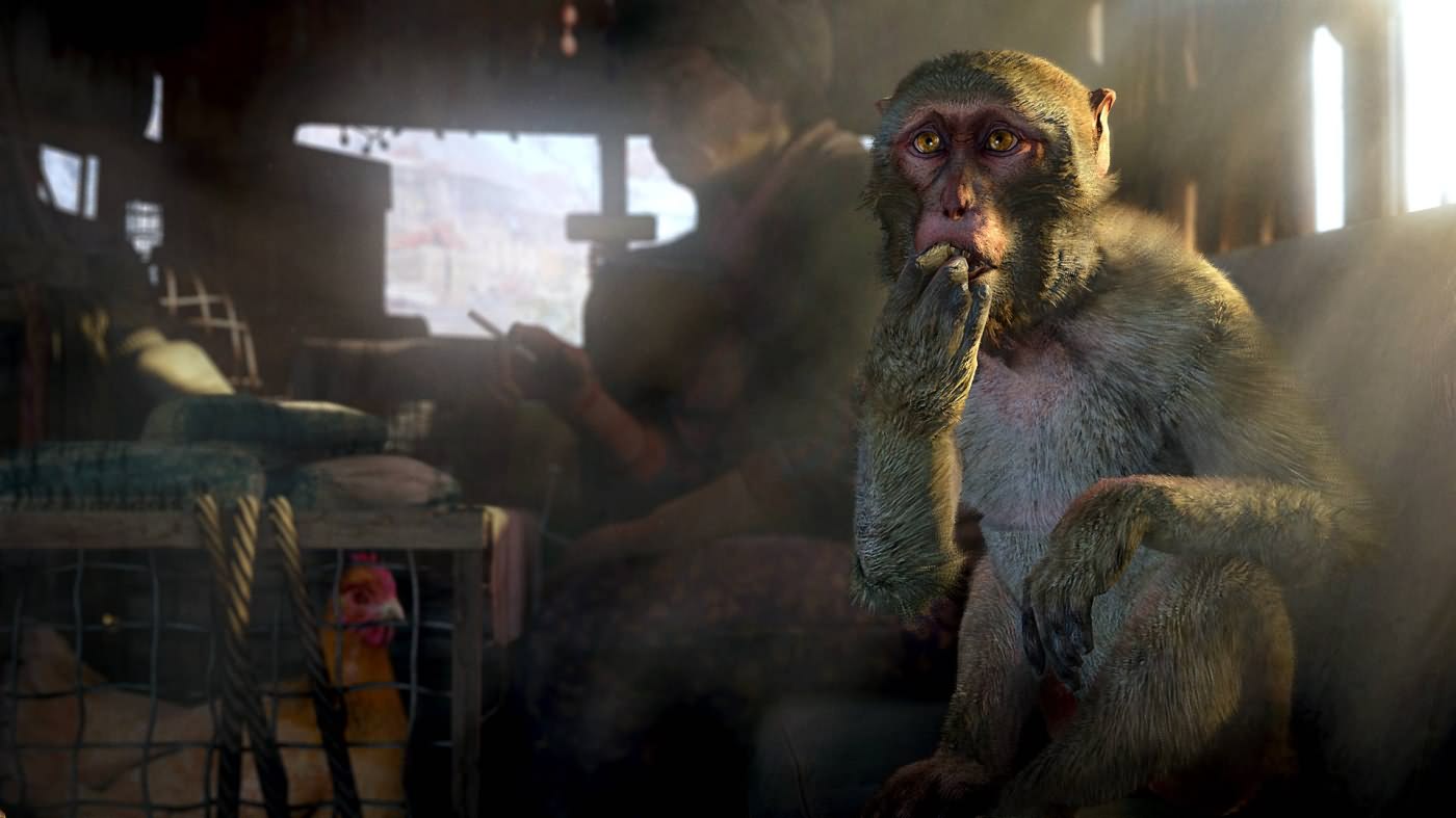 Far Cry 4 - Gold Edition (2014/RUS/ENG/Multi5). Скриншот №9