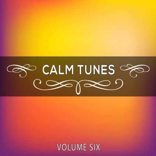 VA - Calm Tunes, Vol. 06 (2014)